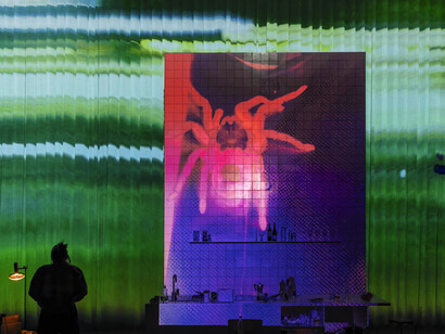 Spinne (spider). Courtesy of the Schaubühne am Lehniner Platz