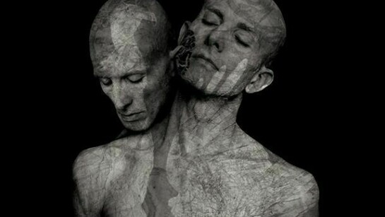 Roberto Kusterle, Il distacco dell'ala (The Dethacment of the Wing).