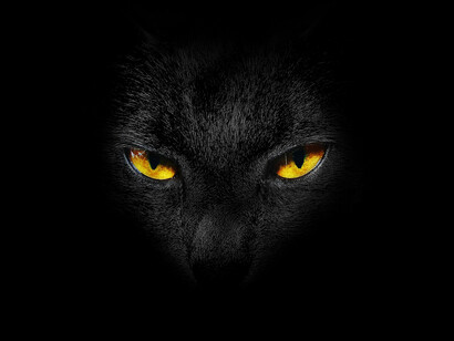 Gatto nero. Superstizioni legate alla sfortuna: dall'attraversamento del gatto nero al rovesciamento dello specchio