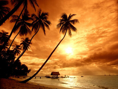 Plage des Caraïbes