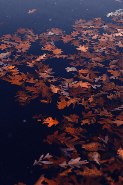 Romantic autumn evenings