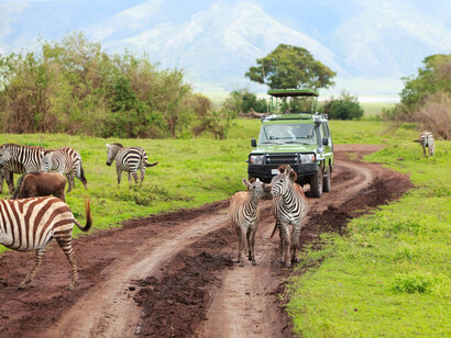 Tanzania. Obstáculos y peatones inesperados en las carreteras