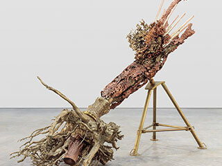 Matthew Barney. Courtesy of Yale University Art Gallery