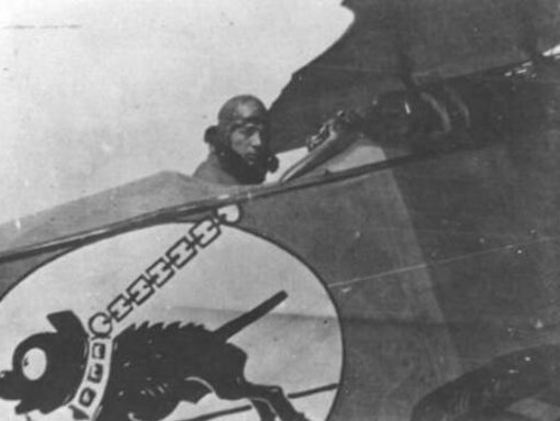 Carlos Otto Meyer, as de combate venezolano