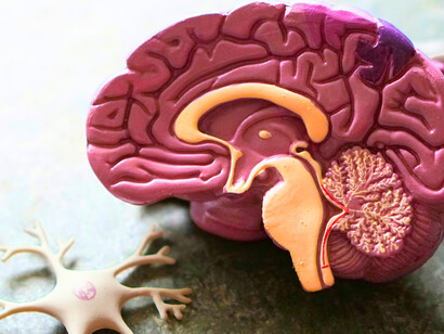 Our brain filters out most sensory input, so what you experience is already a simplified version of reality