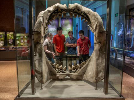 Sant Ocean Hall. Courtesy of Smithsonian's National Museum of Natural History