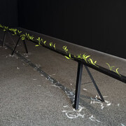 Jenna Lee, Burn before reading, exhibition view. Courtesy of the artist and Gertrude Glasshouse. Photo by Christian Capurro