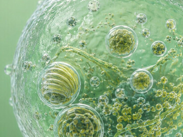 Además de su perfil de seguridad, la leche materna es el único superalimento auténtico, capaz de adaptar dinámicamente sus nutrientes y aportar componentes bioactivos de los que carecen las opciones comerciales