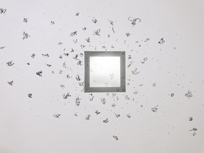 Ausstellungsansicht, Give nature a break, 2025. Mit freundlicher genehmigung des Nordico Stadtmuseum