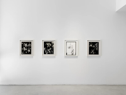 Lisa Oppenheim, Ourselves and the expression of ourselves, exhibition view. Courtesy of Tanya Bonakdar Gallery