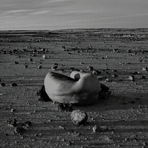 Judy Dater. Courtesy of De Young Museum