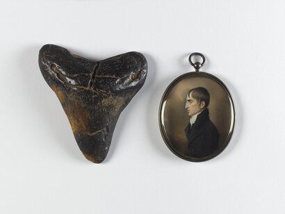 Fossil shark tooth Carcharodon megalodon, USA
Collection National Museum of Ireland – Natural History
John Comerford, Robert Emmet, c.1803, Watercolour on ivory in a silver-gilt pendant, 6.5 x 5.7 cm, Presented, 1969, National Gallery of Ireland Collection
Photograph © National Museum of Ireland. Photographer: Bryan Rutledge
