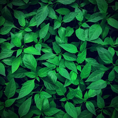 In alcuni ecosistemi montani, il riscaldamento può produrre inizialmente un aumento della vegetazione e della fertilità, ma questi benefici temporanei possono essere seguiti da una maggiore fragilità dell'ecosistema