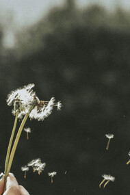 Observation: A key idea in both a transcendent and immanent philosophy is the idea of noticing and interpreting change