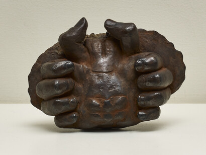 Crab (Cancer Pagorus) [Underside detail], 2015
Patinated bronze 5 x 15 x 10 cm. Edition of 4. Courtesy the artist and Frith Street Gallery, London. Photography by Steve White.