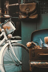 Bicicletta, compagna di viaggio 