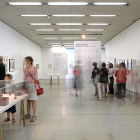 Up/Rooted, Exhibition view. Courtesy of Museum der Moderne