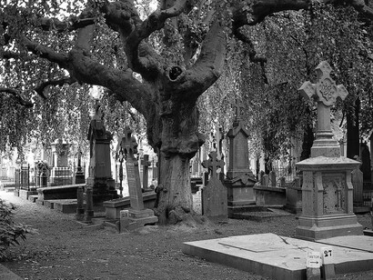 Cementerio municipal Steenbrugge, Brujas