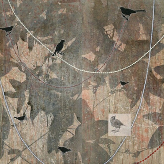 Tanja Softić. Courtesy of Taylor | Graham