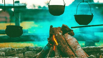 The roaring firewood