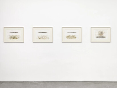 Giuseppe Penone, Envelopper la Terre, exhibition view. Courtesy of Galerie Marian Goodman 