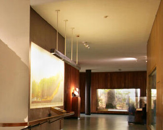 Hall of North American Forests. Courtesy of American Museum of Natural History