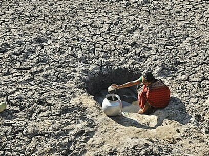La subida temperaturas acelera los procesos de desertificación 