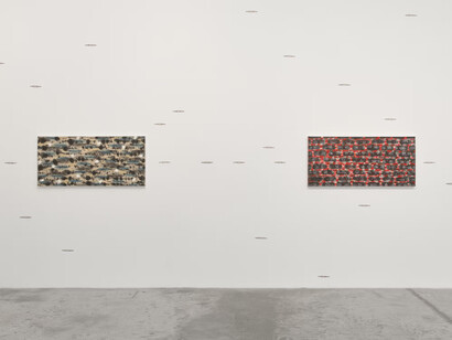 Tran Luong, When sky merges with Earth, exhibition view. Courtesy of Bortolami