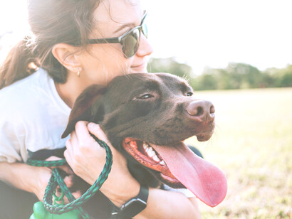 Las entidades digitales de nuestra comunicación se disuelven en el sistema nervioso de los perros y se funden en una amalgama continua