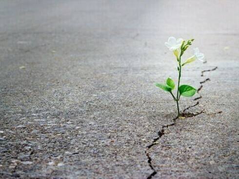 Le concept de résilience vient de la physique et indique le degré de résistance d'un métal à un choc
