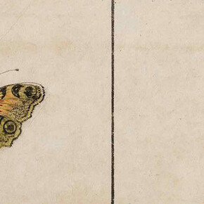 Studies of Nature. Courtesy of Pergamonmuseum