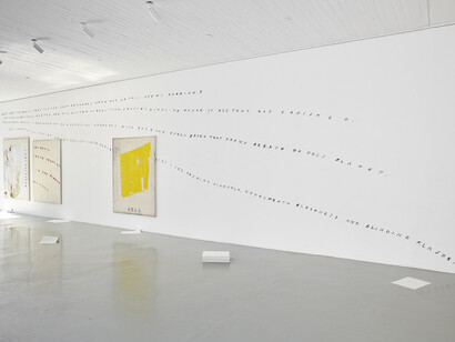 Fabian Herkenhoener, Notes on a post-order of things, exhibition view, Photo Mareike Tocha, courtesy Priska Pasquer, Cologne. 
