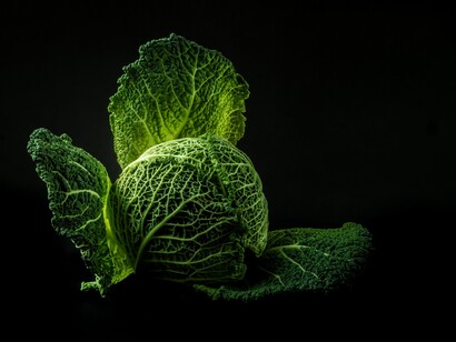 The word cabbage has a widespread and diversified use