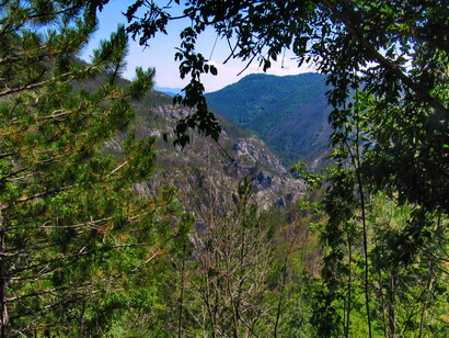 La sintonía entre Vladimir Putin y Aleksandar Vučić es uno de los romances más largos de la
política internacional en la zona. Zaovine, Serbia