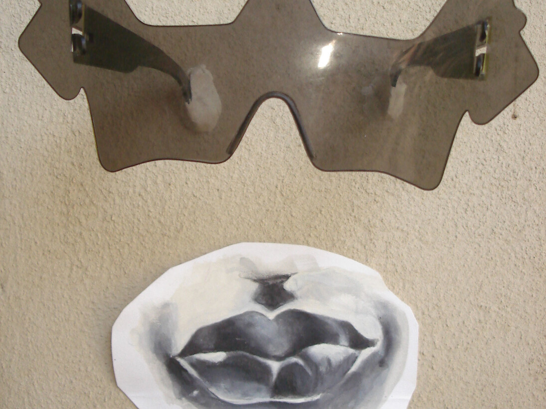 Cinzia Ruggeri, Occhiali cane bocca, dettaglio