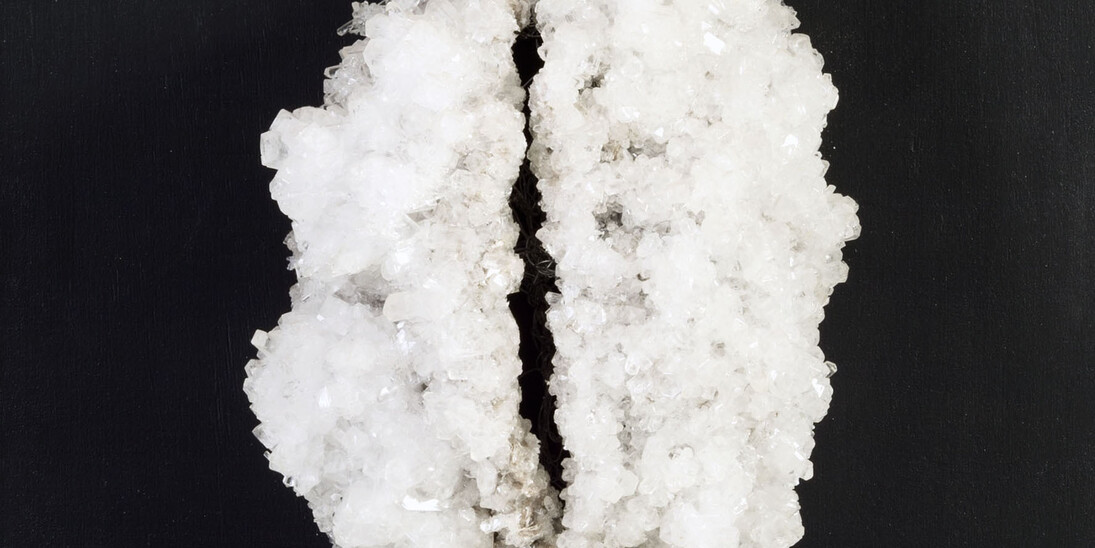 Francesca Romana Pinzari, Brain, 2016, cristalli di solfato di magnesio su struttura metallica, cm 50x50x20. Ph Andrea Veneri