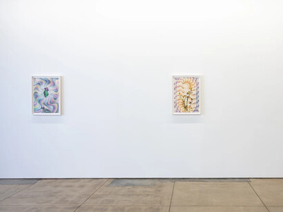 Francesca Gabbiani and Eddie Ruscha, The messengers, exhibition view. Courtesy of Wilding Cran Gallery