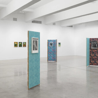 Lisa Oppenheim, Ourselves and the expression of ourselves, exhibition view. Courtesy of Tanya Bonakdar Gallery
