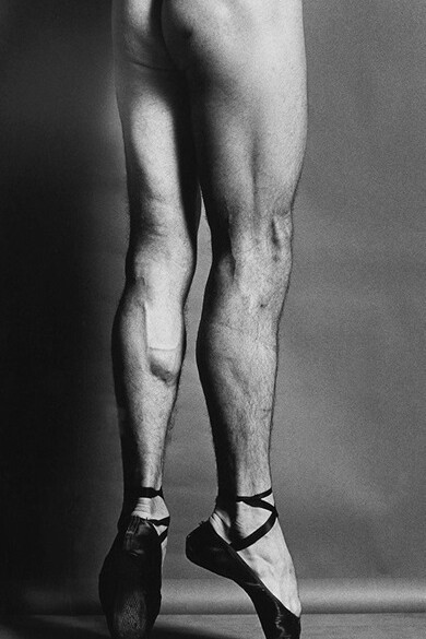 Robert Mapplethorpe, Punte