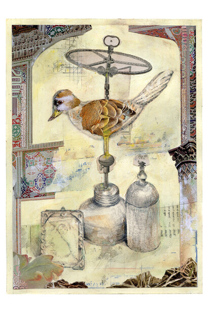 David Barnett, Still Life with Bird. Courtesy of the artist and Ivy Brown Gallery