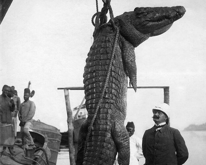 Die Erfindung der Pressefotografie. Courtesy of German Historical Museum