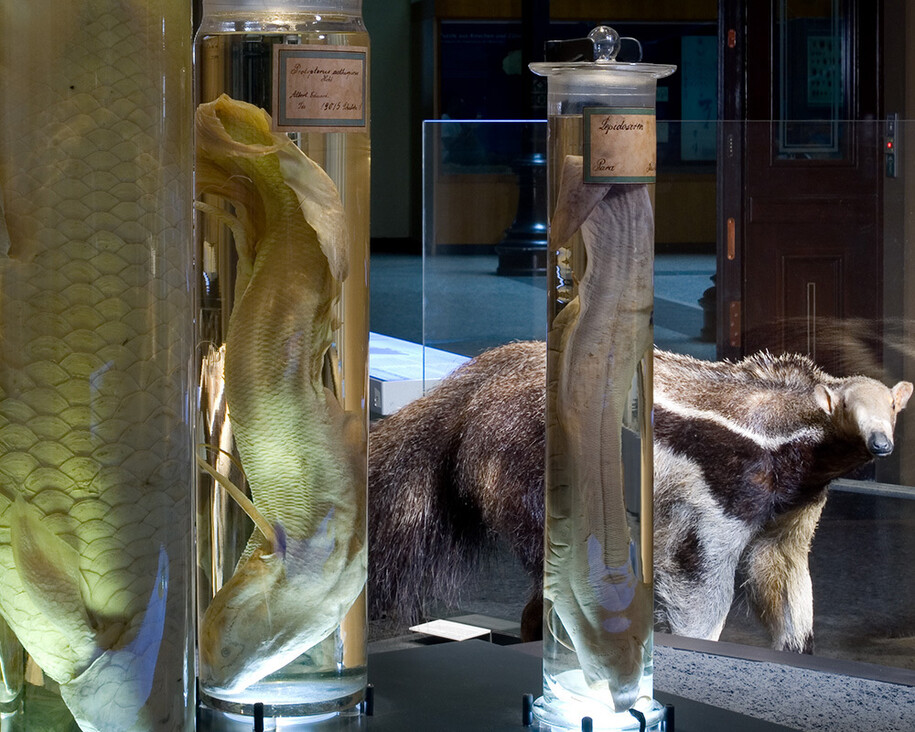 System Earth. Courtesy of Museum für Naturkunde