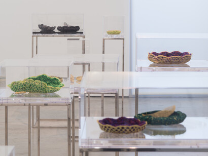 Ana Maria Tavares: Euryale Amazonica, Sicardi Gallery installation view, October 30 - December 20, 2014. Photography by Logan Sebastian Beck.