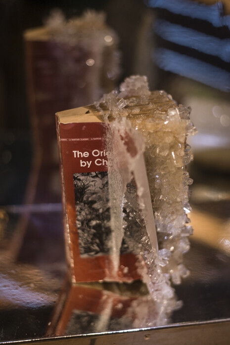 Edgar Arceneaux. Courtesy of Henry Art Gallery