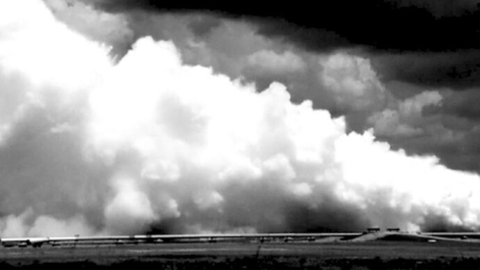 Loris Gréaud. Courtesy of Tel Aviv Museum of Art