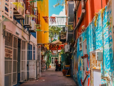 A colorful alleyway brought to life by dynamic urban street art murals