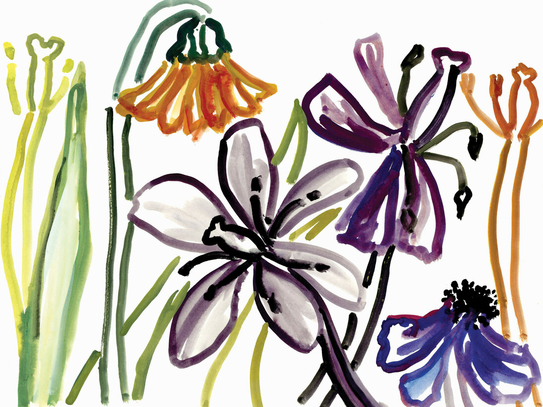 Nerys Johnson, Flowers in outline I, gouache 1999, 44.5 x 57 cm