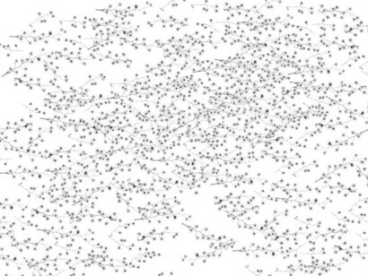 Dornith Doherty. Courtesy of Amon Carter Museum of American Art