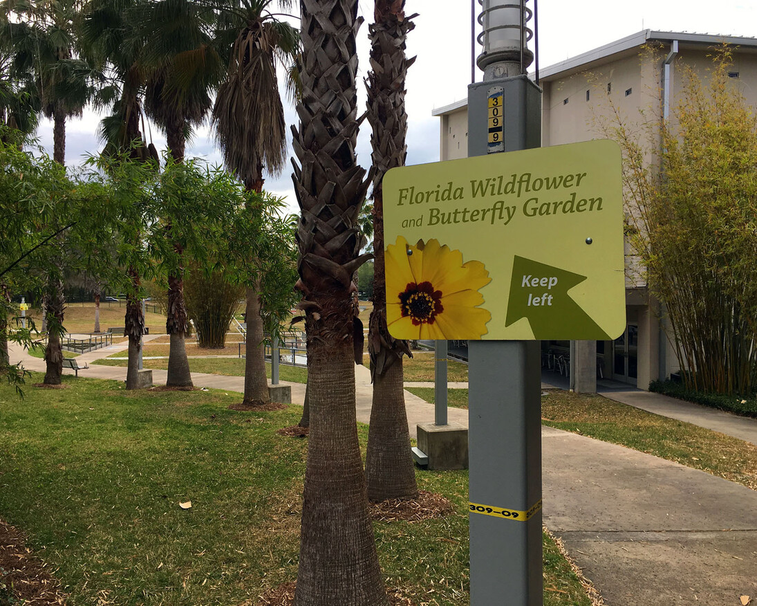 Florida Wildflower & Butterfly Garden. Courtesy of Florida Museum of Natural History
