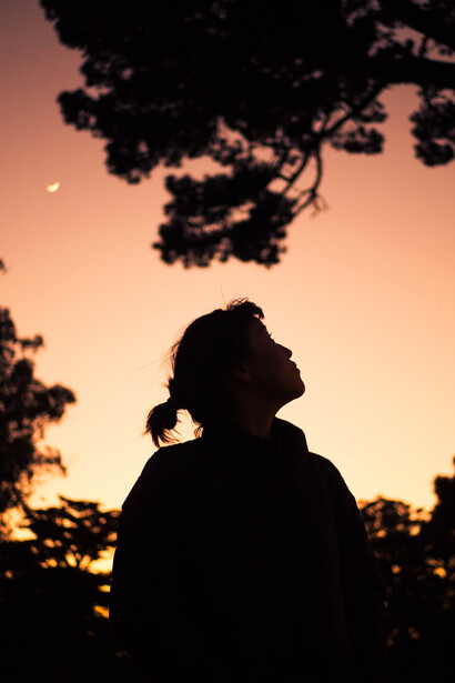 Chemin de la liberté